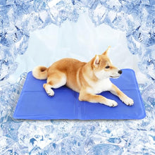 Paw Paws Self Cooling Dog Mat, Non-Toxic Summer Rectangular Cool Gel Pet Pad, Suitable for Crates, Kennels and Bed Large 50x65cm