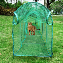 Pet Scene Cat Play Tunnel Outdoor Cat Walk & Run Crawl Tunnel Toys Playing Tent Outdoor Breathable Mesh